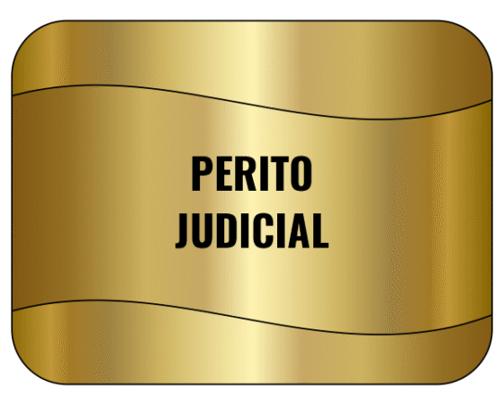 Perito Judicial